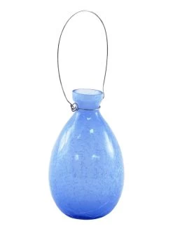 Achla Designs Teardrop Rooting Vase -Outdoor Garden Care Shop 8612530bll 03v