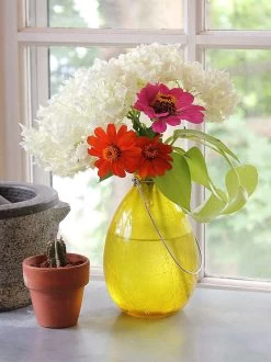 Achla Designs Teardrop Rooting Vase -Outdoor Garden Care Shop 8612530ye 02v