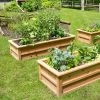 Craftsbury Raised Beds