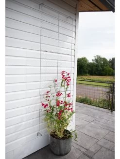 Chicken Wire Wall Trellis 14 Chicken Wire Wall Trellis -Outdoor Garden Care Shop 8612717 0081