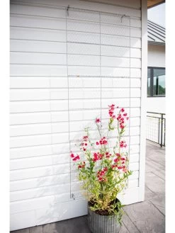 Chicken Wire Wall Trellis 13 Chicken Wire Wall Trellis -Outdoor Garden Care Shop 8612717 0093