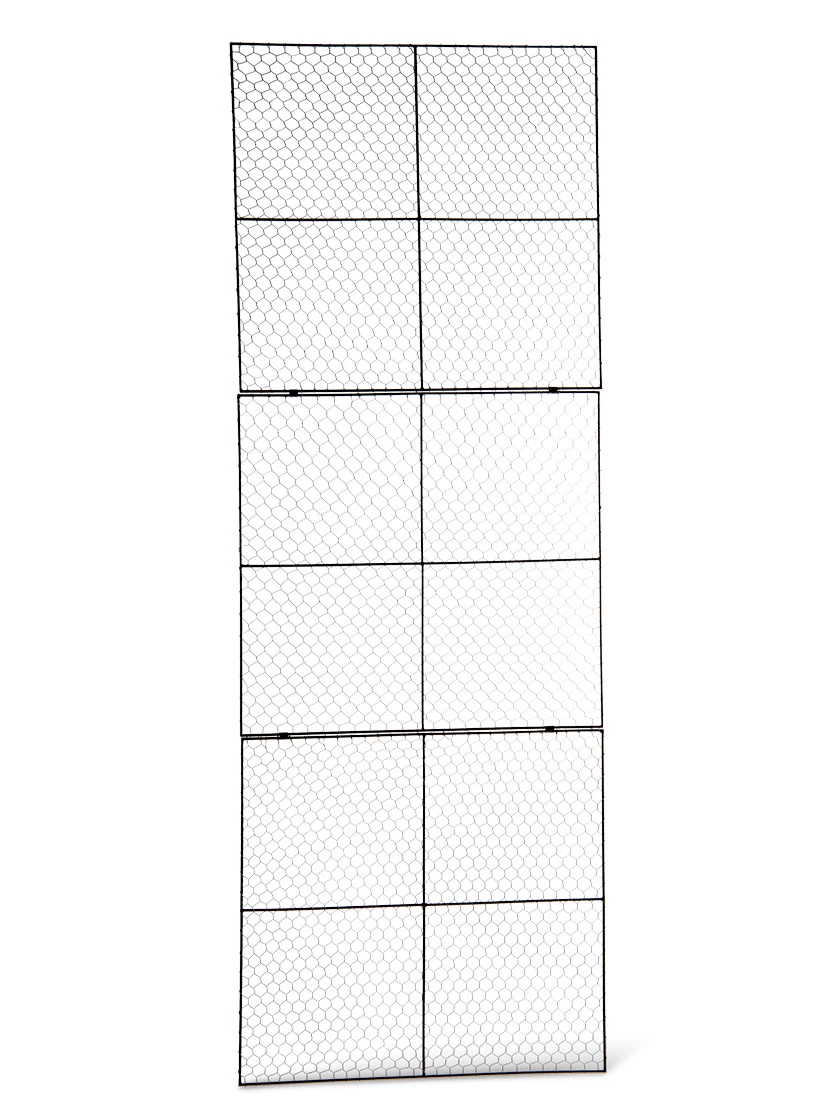 Chicken Wire Wall Trellis 2 Chicken Wire Wall Trellis - Image 2