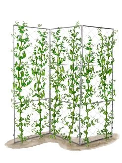 Chicken Wire Pea Trellis -Outdoor Garden Care Shop 8612718 peatrellis art chicken wire pea trellis