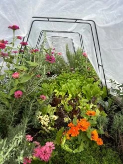 All-Purpose Garden Fabric 12 All-Purpose Garden Fabric -Outdoor Garden Care Shop 8612816 01TEST