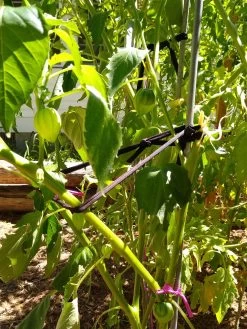 Farmyarn® Multipurpose Garden Tie, 2 Pack 14 Farmyarn® Multipurpose Garden Tie, 2 Pack -Outdoor Garden Care Shop 8612948 02v