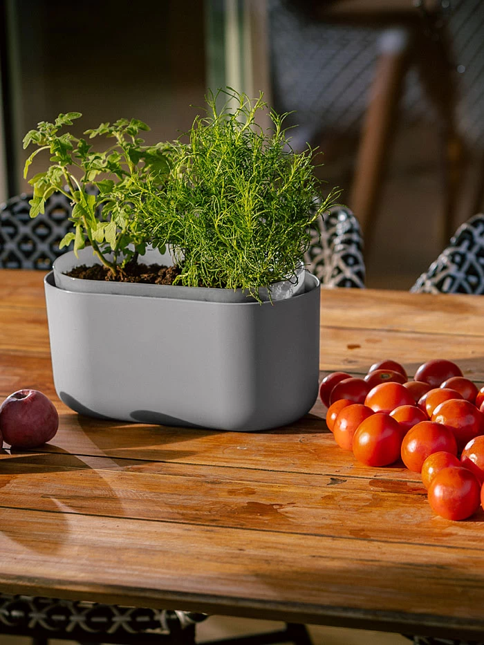 Tolita Recycled Self-Watering Flower Box