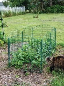 6 Panel Critter Fence With Gate 11 6 Panel Critter Fence With Gate -Outdoor Garden Care Shop 8612967 2570 tif