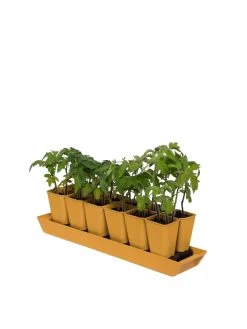 Gardener's Best® XL Seed Starting Kit -Outdoor Garden Care Shop 8613066 1029