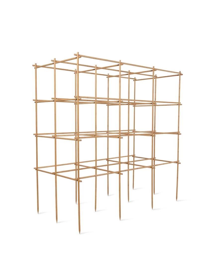 Tomato Six Pack Support 5 Tomato Six Pack Support - Image 5