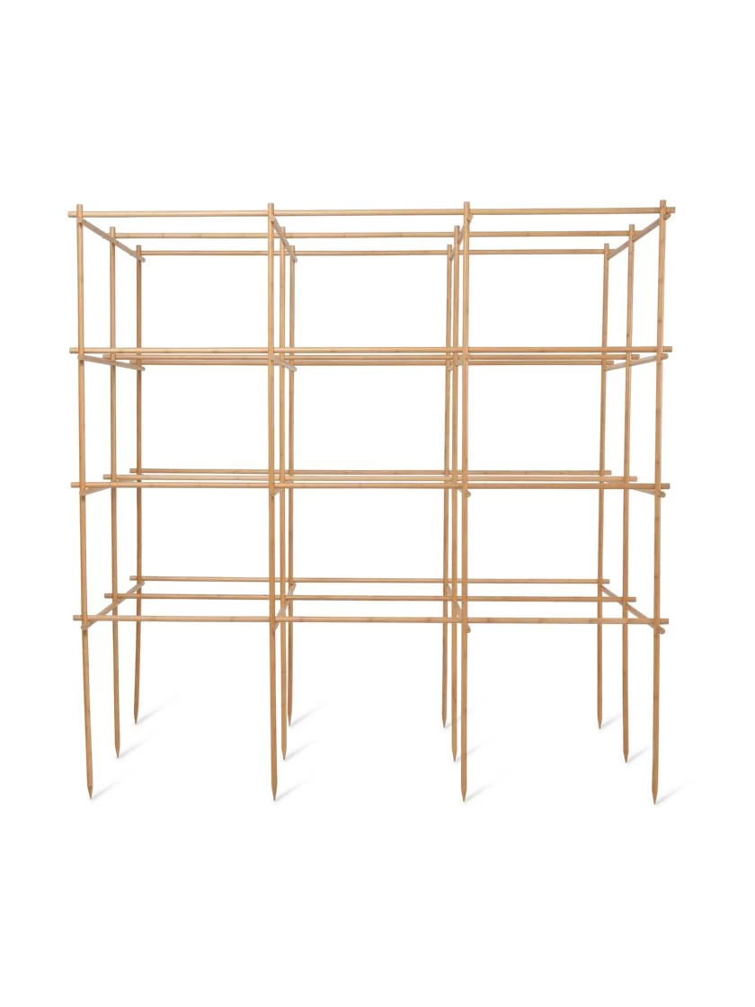 Tomato Six Pack Support 6 Tomato Six Pack Support - Image 6