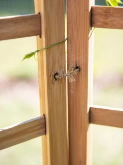 Bamboo Zig-Zag Trellis 24" X 36" -Outdoor Garden Care Shop 8613151 6483