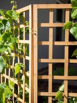 Bamboo Zig-Zag Trellis 24" X 36" -Outdoor Garden Care Shop 8613151 6491