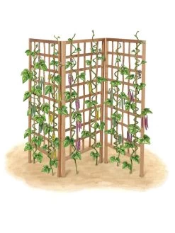 Bamboo Zig-Zag Trellis 24" X 36" -Outdoor Garden Care Shop 8613151 art flat