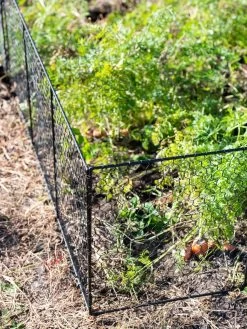 Chicken Wire Critter Fence, 16" High -Outdoor Garden Care Shop 8613249 0309
