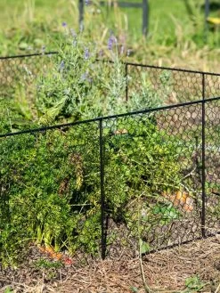 Chicken Wire Critter Fence, 16" High -Outdoor Garden Care Shop 8613249 0352