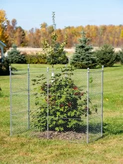 Tall Chicken Wire Critter Fence Extension Panel, Set Of 2 17 Tall Chicken Wire Critter Fence Extension Panel, Set Of 2 -Outdoor Garden Care Shop 8613260 0030