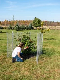 Tall Chicken Wire Critter Fence Extension Panel, Set Of 2 18 Tall Chicken Wire Critter Fence Extension Panel, Set Of 2 -Outdoor Garden Care Shop 8613260 0090