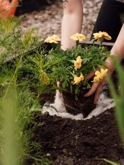 Hortiwool ®, Starter Garden Pad -Outdoor Garden Care Shop 8613263 12v