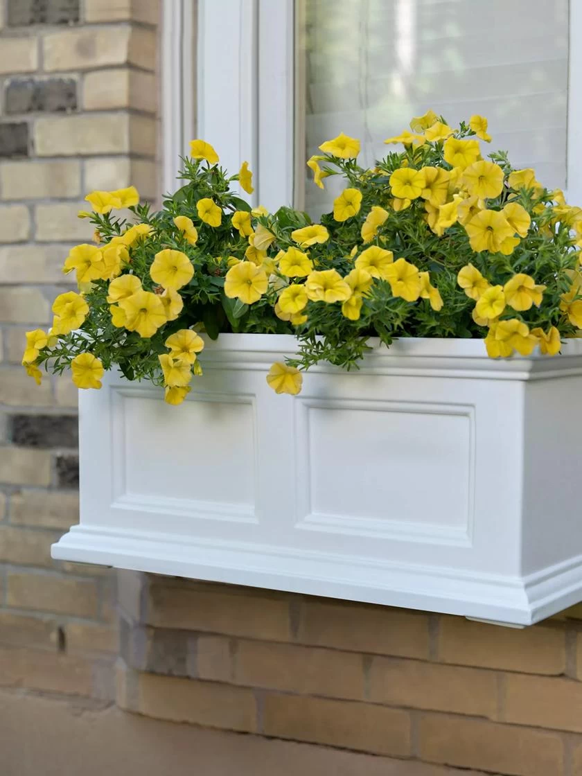 Fairfield Self-Watering Window Box, 2’ 2 Fairfield Self-Watering Window Box, 2’ - Image 2