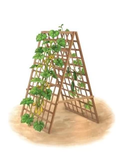 Bambo A Frame Plant Support, 30" X 42.5" -Outdoor Garden Care Shop 8613310 art flat