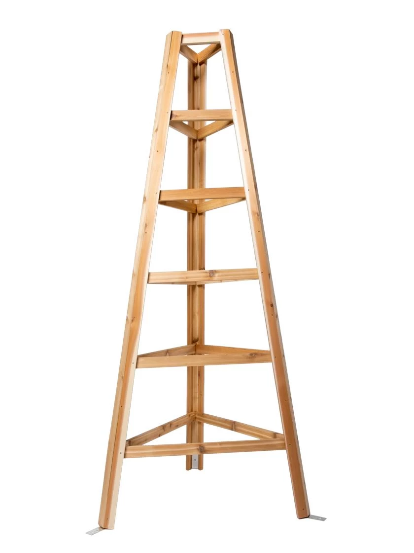 Cedar Obelisk, 8' 2 Cedar Obelisk, 8' - Image 2