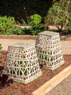 Bamboo Cloche, Set Of 2 -Outdoor Garden Care Shop 8613351 0150 bamboo cloche set of 2