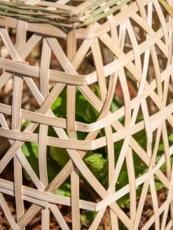 Bamboo Cloche, Set Of 2 -Outdoor Garden Care Shop 8613351 0153