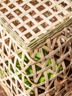 Bamboo Cloche, Set Of 2 -Outdoor Garden Care Shop 8613351 0154