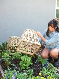 Bamboo Cloche, Set Of 2 -Outdoor Garden Care Shop 8613351 6862