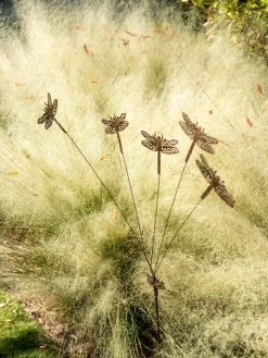 Flutterer Garden Stake -Outdoor Garden Care Shop 8613372 0162