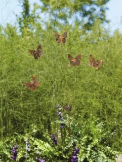 Flutterer Garden Stake -Outdoor Garden Care Shop 8613372 01V tif