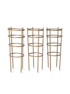 Bamboo Tomato Cages, Set Of 3 -Outdoor Garden Care Shop 8613426 4679 bamboo tomato cages 3