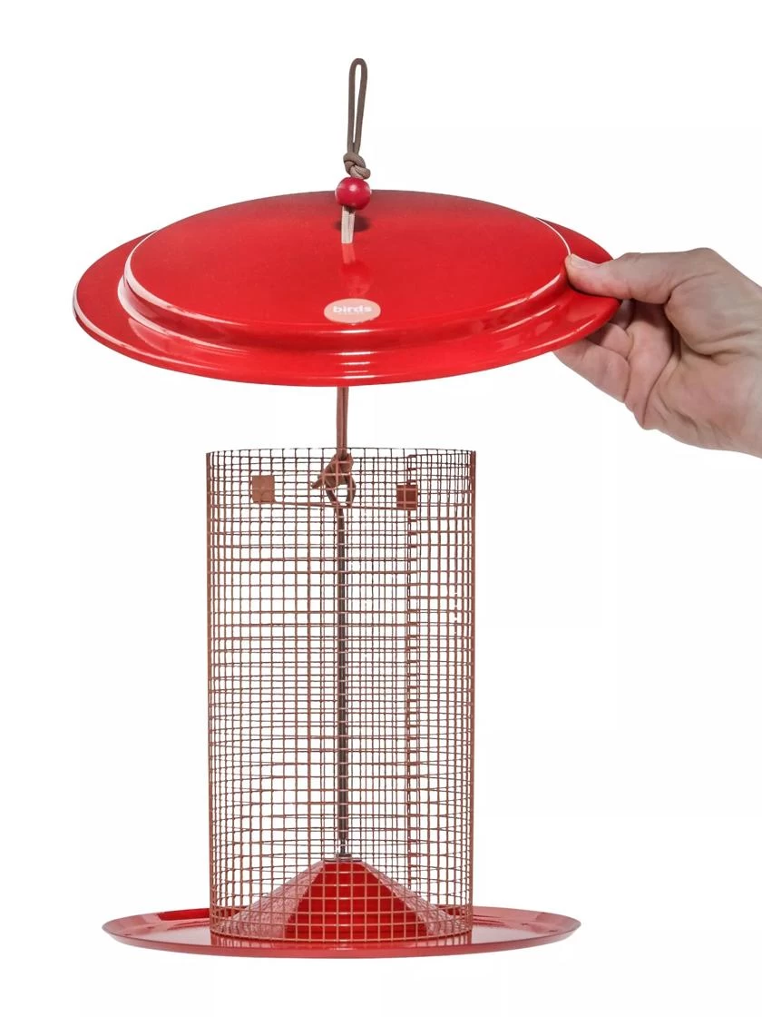 Color Pop Sunflower Seed Bird Feeder 2 Color Pop Sunflower Seed Bird Feeder - Image 2