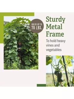 Titan Squash Tunnel 11 Titan Squash Tunnel -Outdoor Garden Care Shop B07932DMCR plantsupport benefits 2