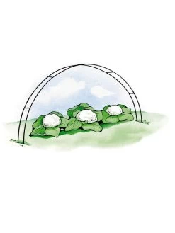 Super Hoops, Set Of 6 -Outdoor Garden Care Shop GS39423 02S 3 4