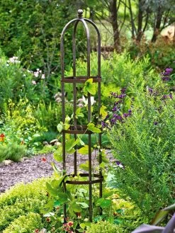 Jardin Bird Cage Support, 26" -Outdoor Garden Care Shop GS39529 01 tif