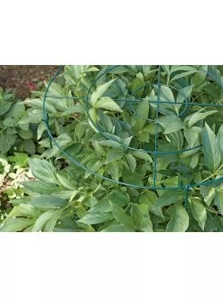 Grow Through Supports, Set Of 3 7 Grow Through Supports, Set Of 3 -Outdoor Garden Care Shop GS40172 01 1