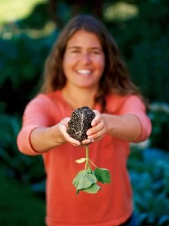 Deep Root Seedstarting System, Black 5 Deep Root Seedstarting System, Black -Outdoor Garden Care Shop GSCOVSPR06D2 01