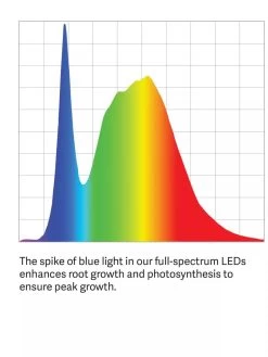 Tall Bamboo LED Grow Light Garden 17 Tall Bamboo LED Grow Light Garden -Outdoor Garden Care Shop LED ColorSpectrum grid PDP 7