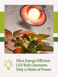 Miracle LED® Absolute Daylight™ Max Flowering Grow Light Bulb 9 Miracle LED® Absolute Daylight™ Max Flowering Grow Light Bulb -Outdoor Garden Care Shop Miracle Daylight Bulb 2