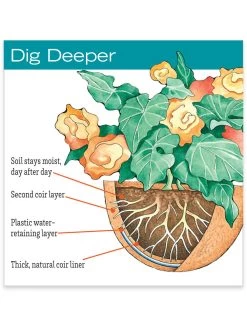 AquaSav™ Replacement Liners, Set Of 3 -Outdoor Garden Care Shop hiw 38 583