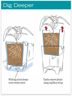 Stoneware Self-Watering Windowsill Planters, Set Of 2 -Outdoor Garden Care Shop hiw 8593943 jpg