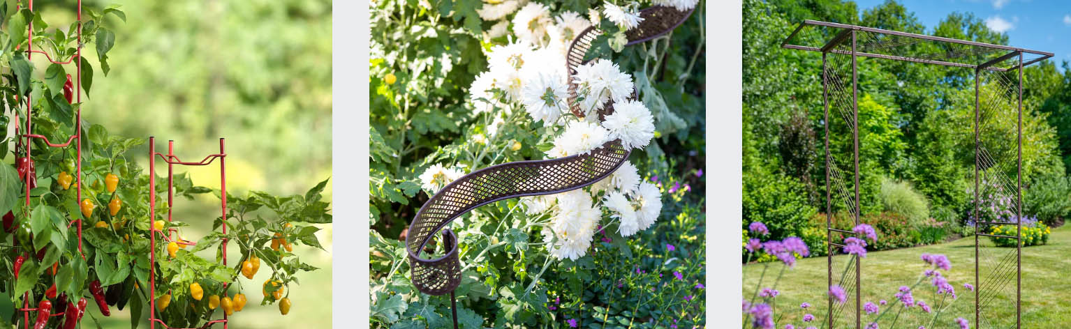 Outdoor Garden Care Shop -Outdoor Garden Care Shop DFGDF